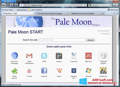 Снимка на екрана Pale Moon за Windows 8.1