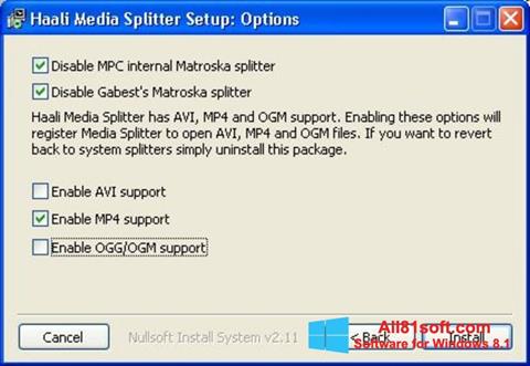 Снимка на екрана Haali Media Splitter за Windows 8.1