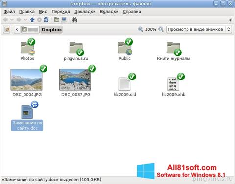 Снимка на екрана Dropbox за Windows 8.1