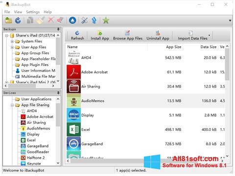 Снимка на екрана iBackupBot за Windows 8.1