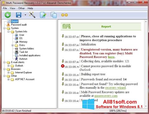 Снимка на екрана Multi Password Recovery за Windows 8.1