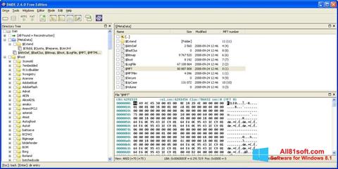 Снимка на екрана DMDE за Windows 8.1