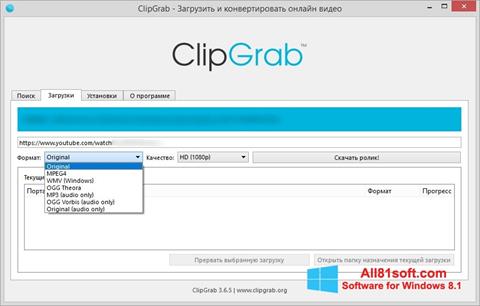 Снимка на екрана ClipGrab за Windows 8.1