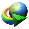 Internet Download Manager за Windows 8.1