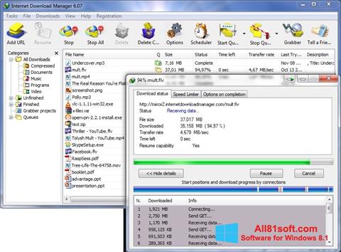 Снимка на екрана Internet Download Manager за Windows 8.1