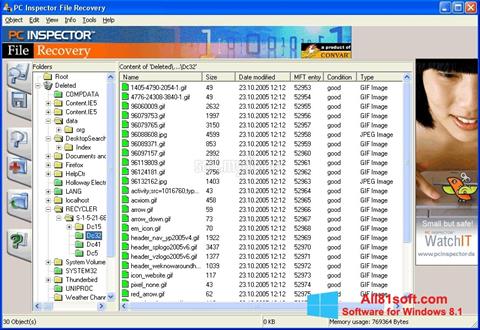 Снимка на екрана PC Inspector File Recovery за Windows 8.1