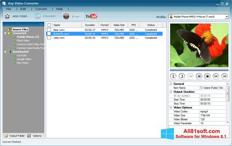 Снимка на екрана Any Video Converter за Windows 8.1