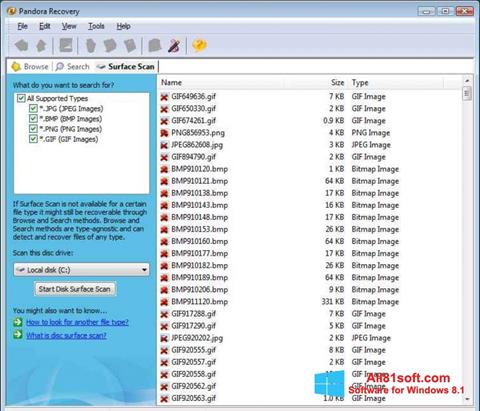 Снимка на екрана Pandora Recovery за Windows 8.1