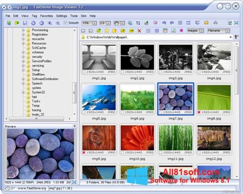 Снимка на екрана FastStone Image Viewer за Windows 8.1