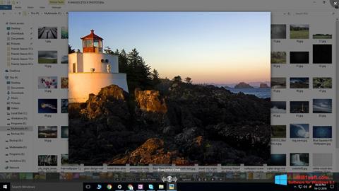 Снимка на екрана Picasa Photo Viewer за Windows 8.1