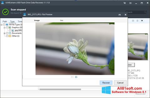 Снимка на екрана USB Flash Drive Recovery за Windows 8.1